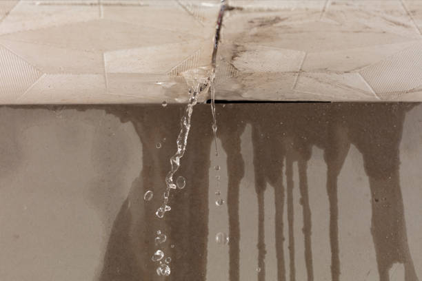 Professional Structural Drying technician working in Burton, WV
